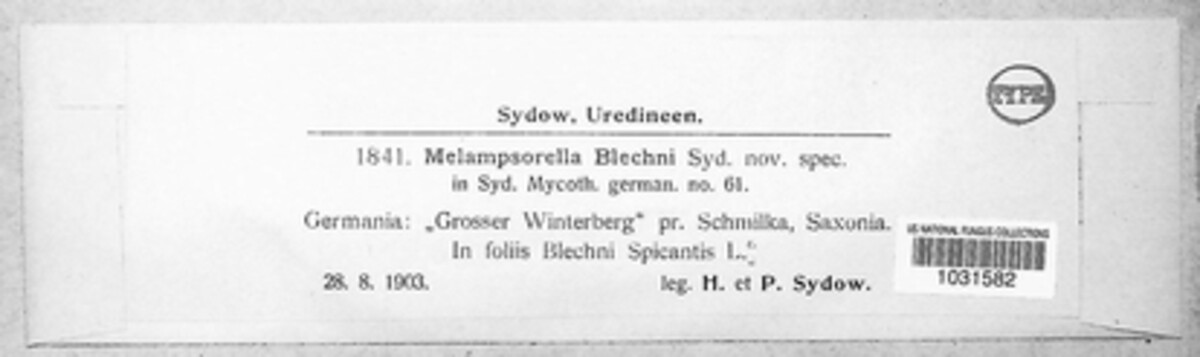 Milesina blechni image